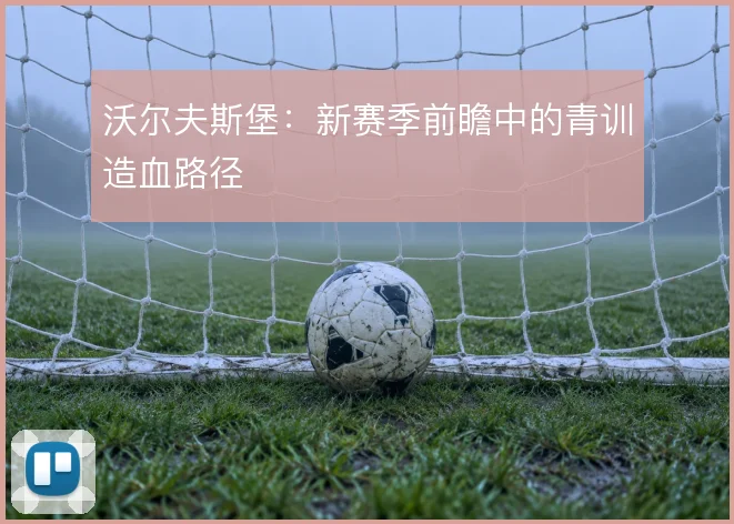 沃尔夫斯堡:新赛季前瞻中的青训造血路径